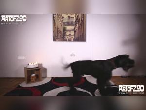 Denise Frazier and her dog: a whore sucks dog's cock in her mouth