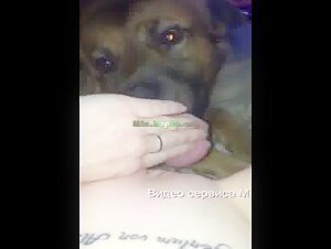 Dog licking a woman's privates until she orgasms
