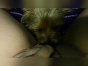 Animal Desire: Teen Pony 5 Gives Herself to the Dog