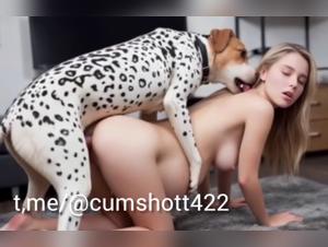 Animal Delights: Canine Obsession