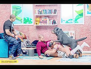 Dollsexposed: A Forbidden Experience with a Rottweiler