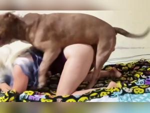 Extreme Reactions: Canine Domination and Female Desire