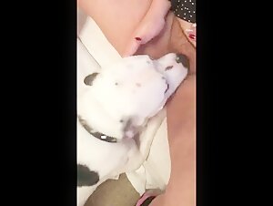 Woman and dog: a forbidden meeting