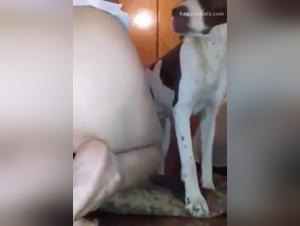 K9 Hardcore domination: extreme bestial sex