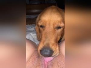 Licking Obsession: Women and Dogs in Delirium