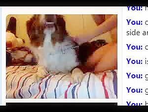Best zoophilia videos - Compilation of my favorites