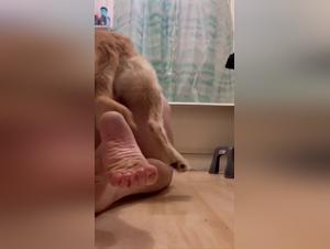 Wild canine fuck: raw drive in a hot bath