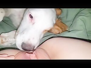 Woman and Dog: A Forbidden Meeting