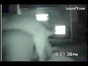 Married woman subjected to a naughty dog