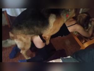 Delices Bestiaux: Milly se sumerge en el abismo canino
