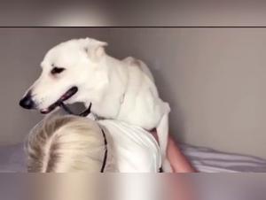 Female Unleashing: Blonde Hardcore & Doggy