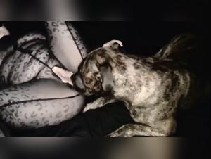 Zoophilia Hardcore: The Dog Devours the Woman