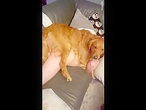 Marido ayudando esposa with a special friend
