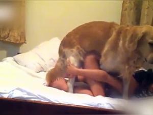 Forbidden Desire: Slut and Dog - Hardcore Session