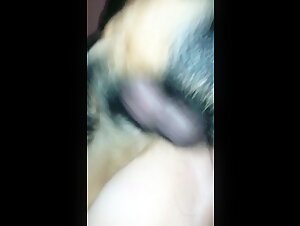 Woman and dog: a beastly encounter