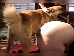 Obscene Delight: Sluts and Dogs in a Sex Dance