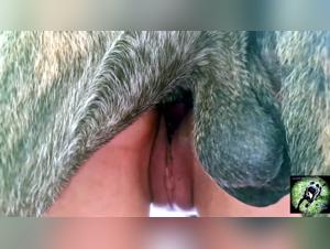 Escenas de bestialidad: Mujer follando con su perro