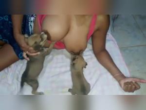 unhealthy puppylove: fiery breastfeeding