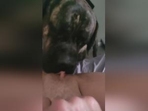 Zoophilia: A Woman's Insatiable Desire for her Dog