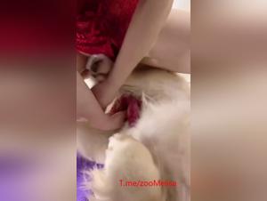 Demonic Delights: An Asian and her Dog in a Sensual Orgy