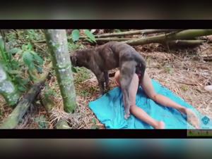 Domination Canine : Leydi et ses Délices Sauvages