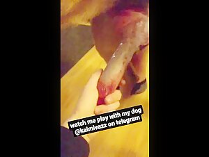 Buy me @kaimivazz for bestiality videos