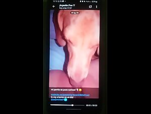 Jasmine and her dog: a beastly encounter