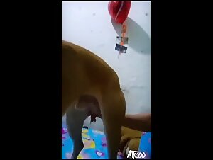 Curious teenager discovers fun with a dog - Part 8