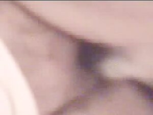 Feline Tongue 1