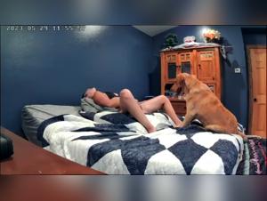 Passion for Animals