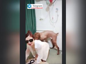 Crazy Shower: Extreme Animal Kisses