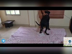 Mia : L'Obsession Canine