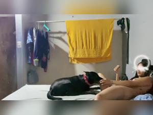 Canine Hell: Extreme Animal Domination