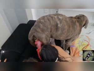 alisonprod : félonie canine et jouissance brute