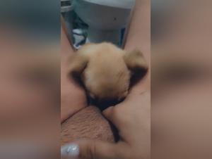 bestial impulses, animal experiences