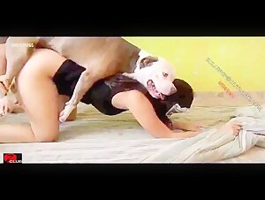 Leena and her first experience with a dog