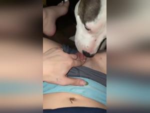 Hardcore Animal Fuck: Decadent Delights