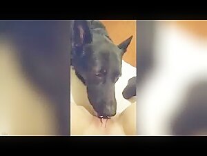 Submissive bitch gets licked by dog