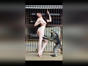 Animal Desire: Explore the Limits of Lust