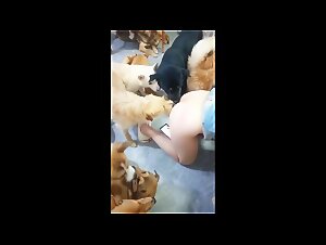 Asian Beast Orgies: Canine Glory & Female Submission