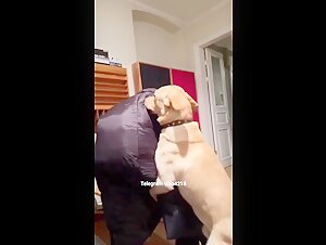 Woman and Dog - A Passionate Encounter