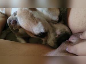 Lick & Domination: Canine Passion Unveiled