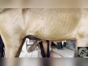 Bestialité française : Wife Fucking Dog - Tickzoo.com