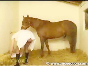 Blonde woman sucking a horse's cock