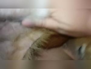 Indecent Reactions: Animal Obsession Unleashed (103/144)