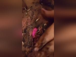 Bestiality Incarnate: Worms Imprison Women