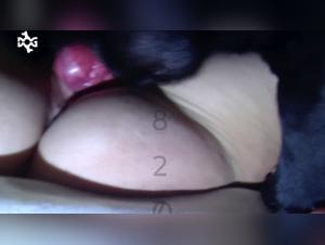 Unfiltered zoophilia: A dog devours a woman's flesh