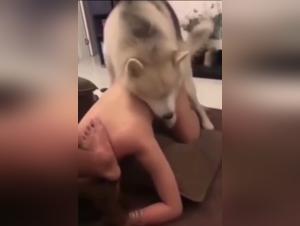 Wild Delights: Asian Girls and their Passion for Dogs