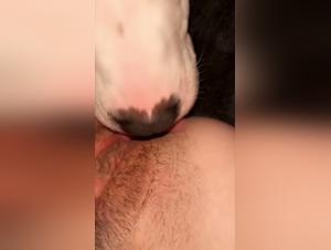 Hundens Obsesion: Violent Teen Orgies