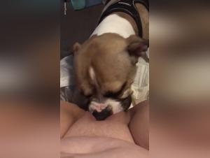 Explore Animal Desire: Female Sex & Dog